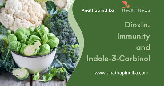 Dioxin, Immunity and Indole-3-Carbinol (I3C)