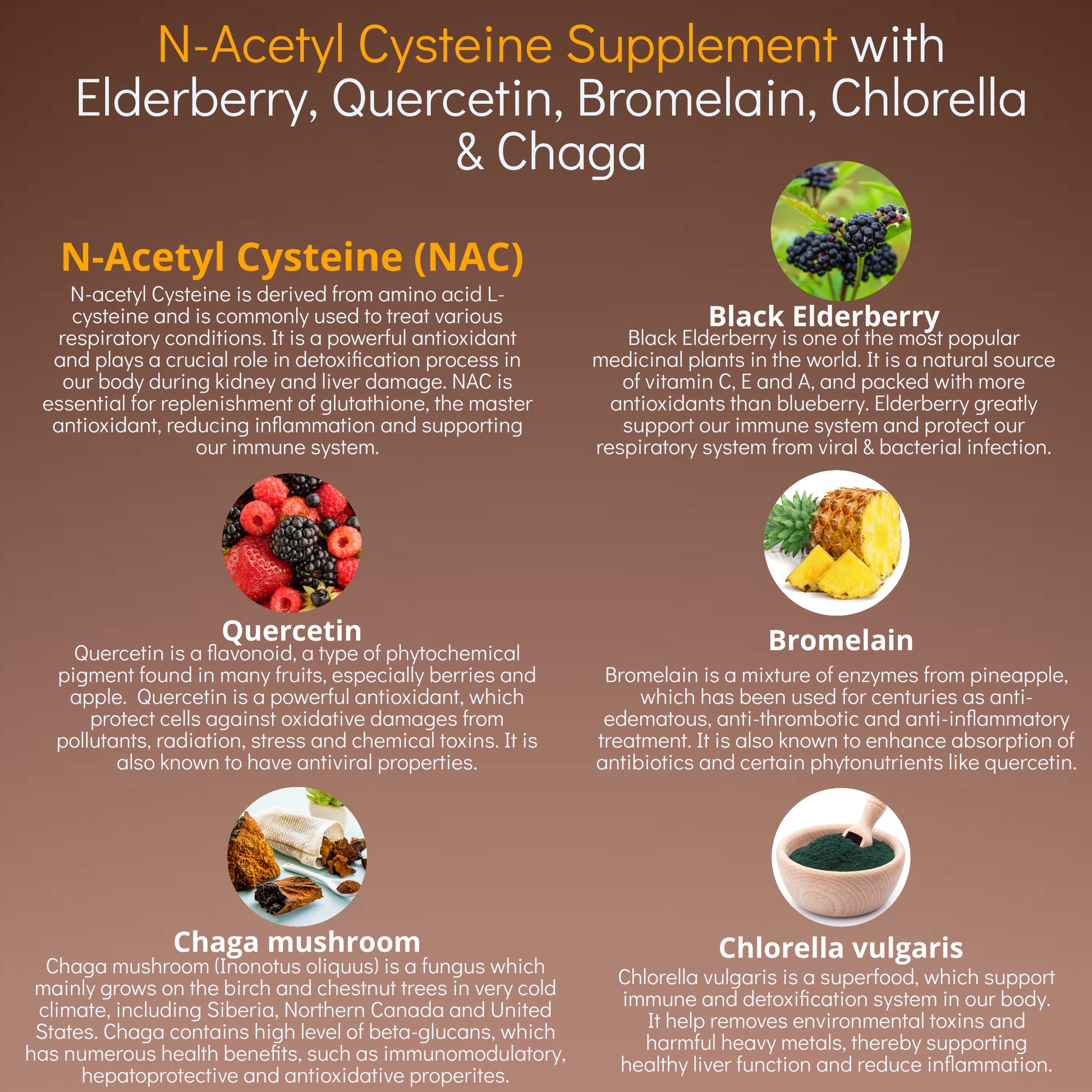 How Chaga Supports Liver Detoxification And Hepatoprotection