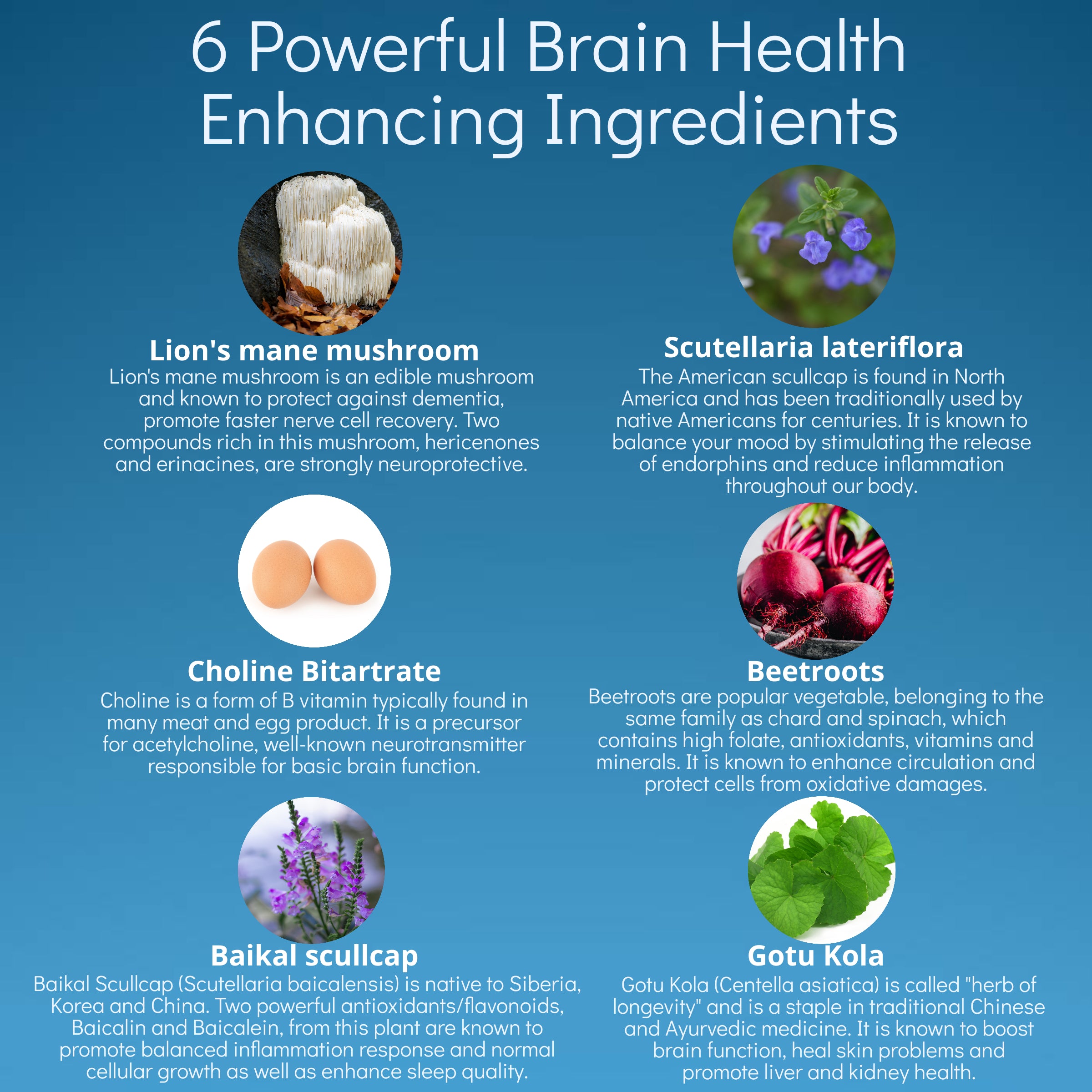 [Cold &Flu Combo] Anathapindika Super Brain Health + Super Immune Support